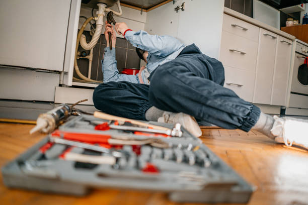 Best Sprinkler Systems  in Pleasantville, NY